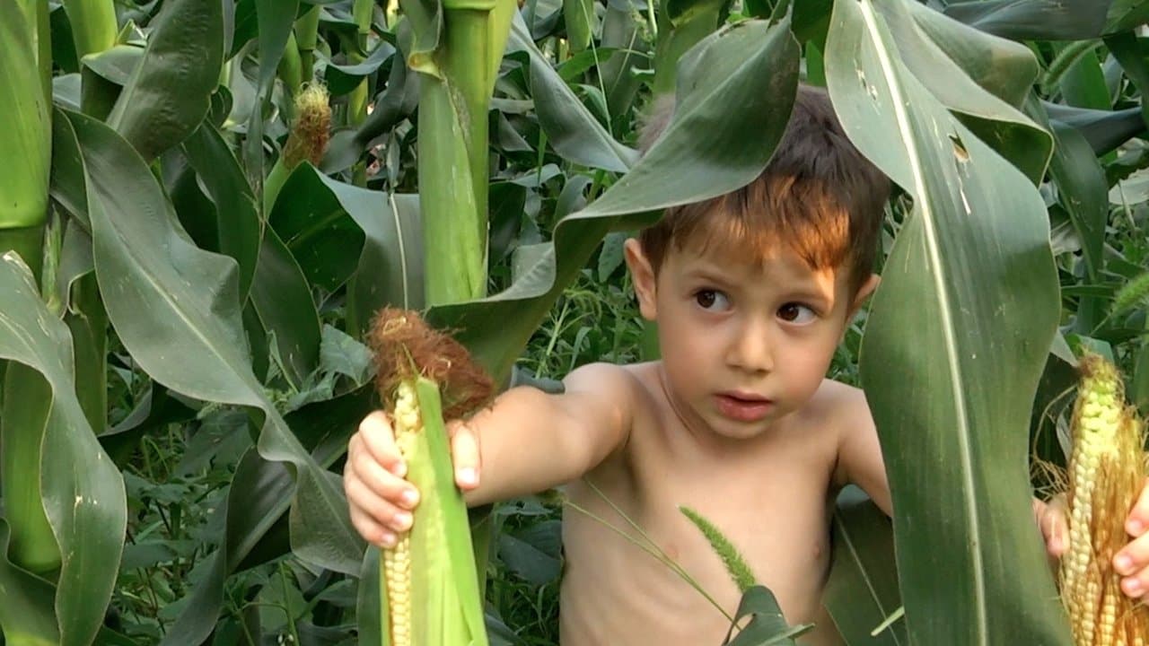 Çeşmeの背景画像