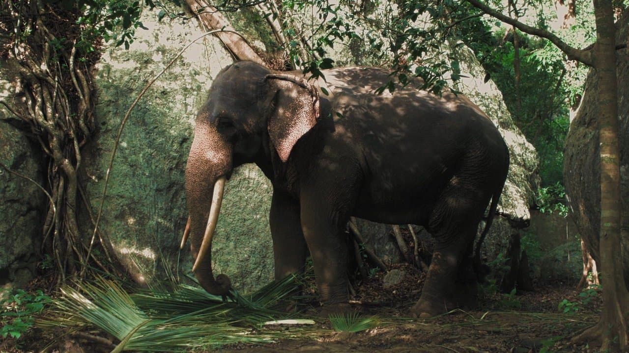Cemeteryの背景画像