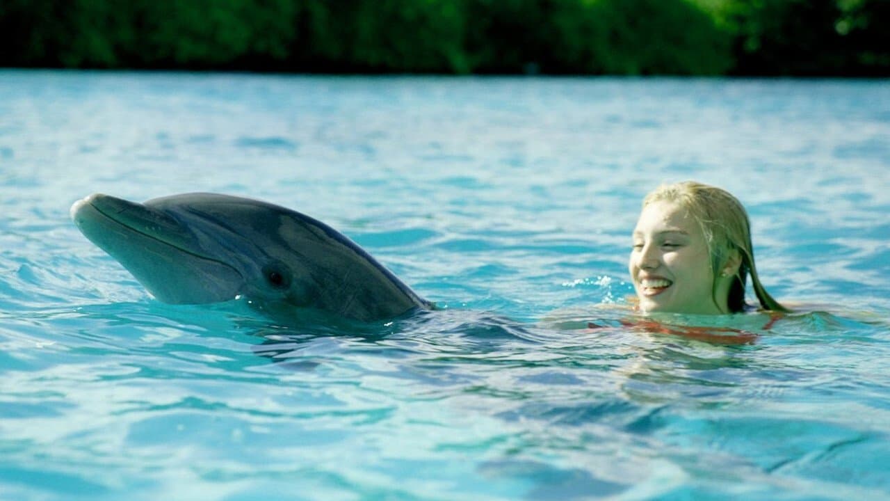 Dolphin Islandの背景画像