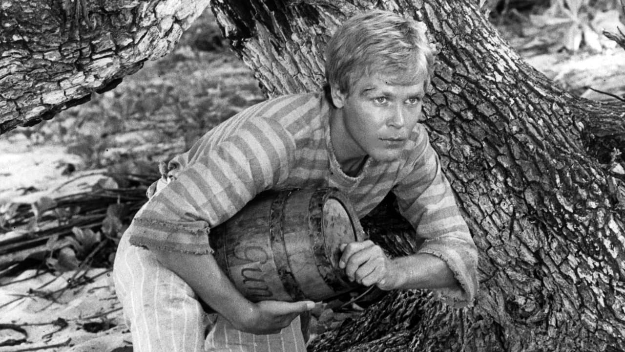 The Coral Islandの背景画像