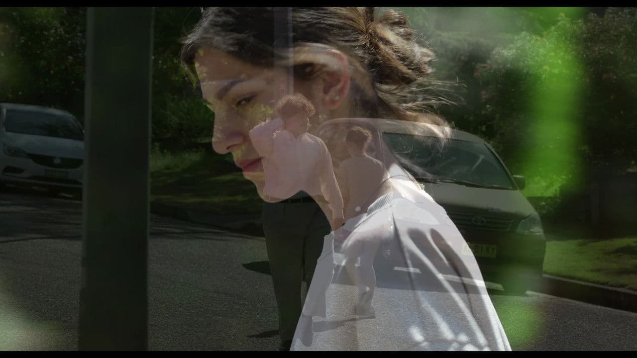 The Liberation of Thomas Turpinの背景画像