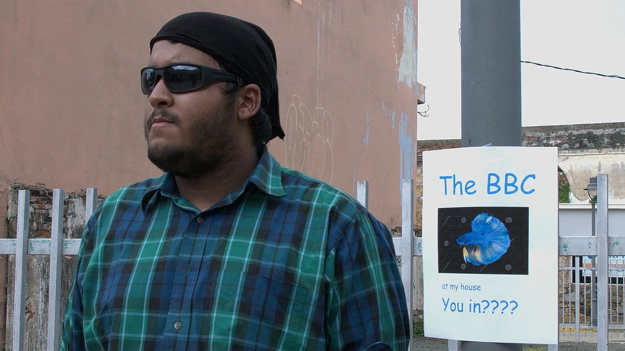 The Betta Brawling Championshipの背景画像