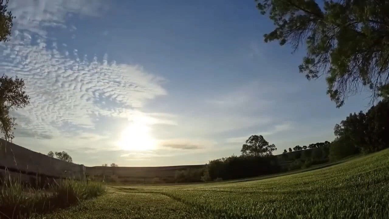 The Voyagerの背景画像