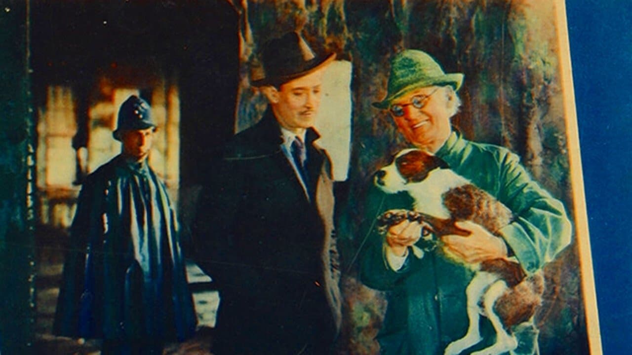 Romance of a Rogueの背景画像