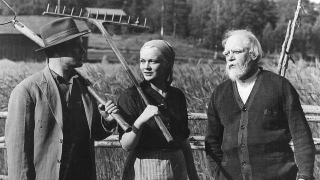 Vieras mies tuli taloonの背景画像