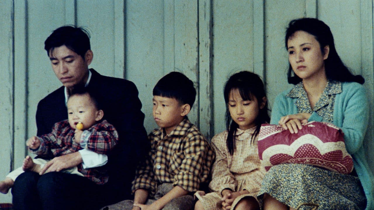 油麻菜籽の背景画像