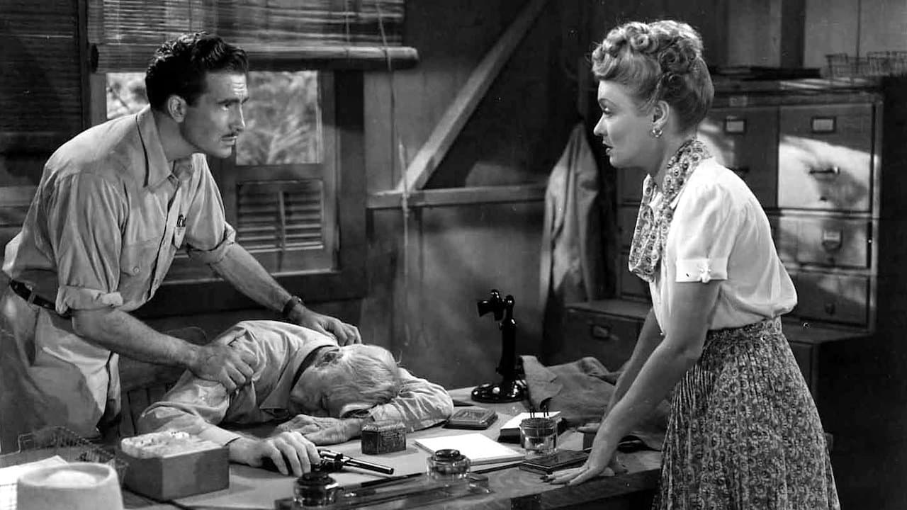 Law of the Tropicsの背景画像