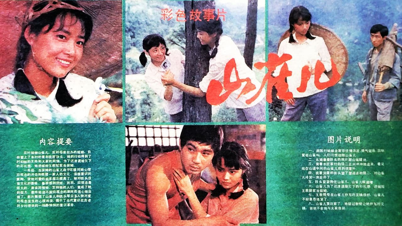 山雀儿の背景画像