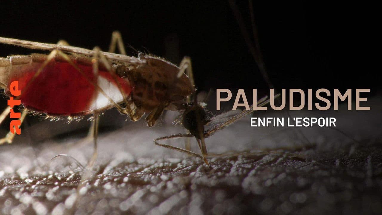 Paludisme, enfin l'espoirの背景画像