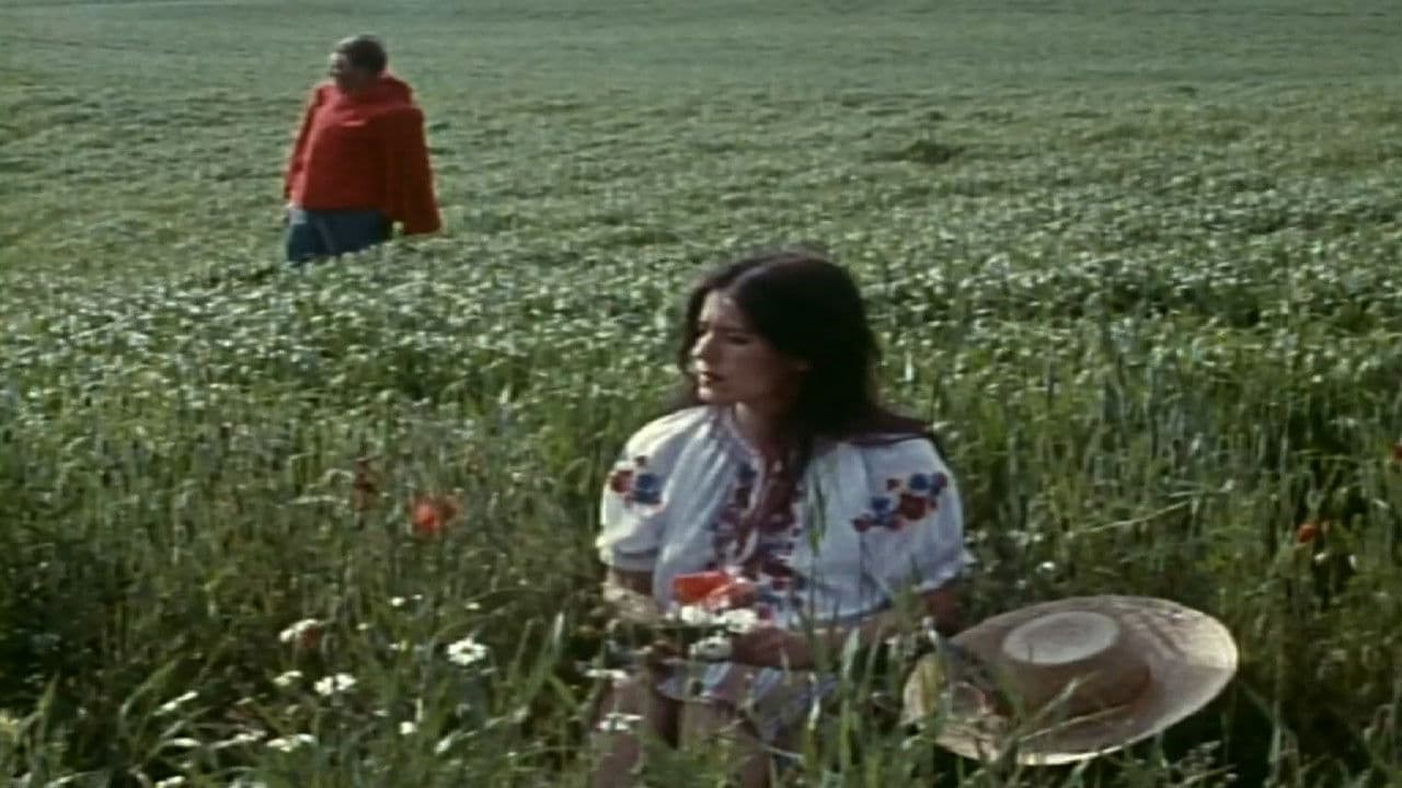 Skarpretterenの背景画像