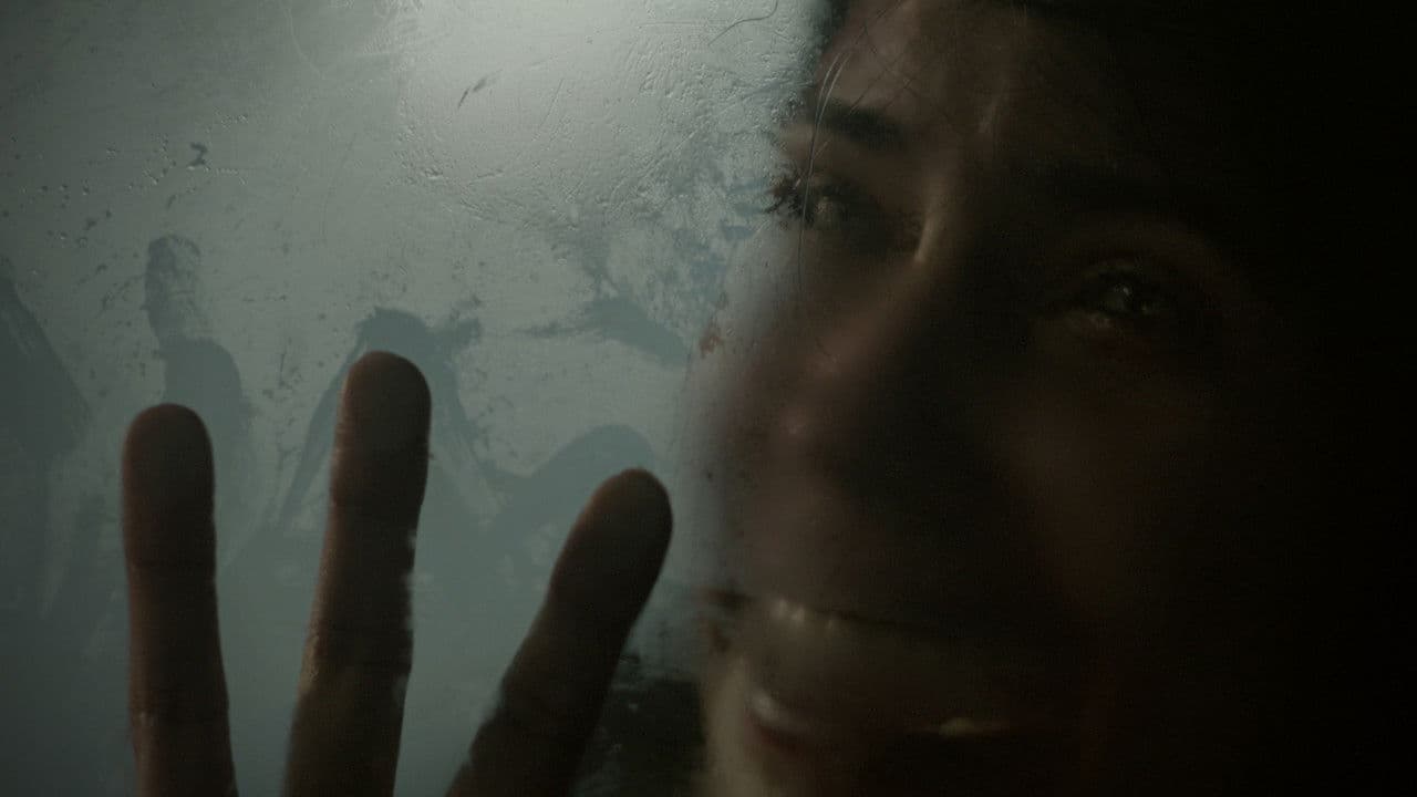 El cuidador del bosqueの背景画像