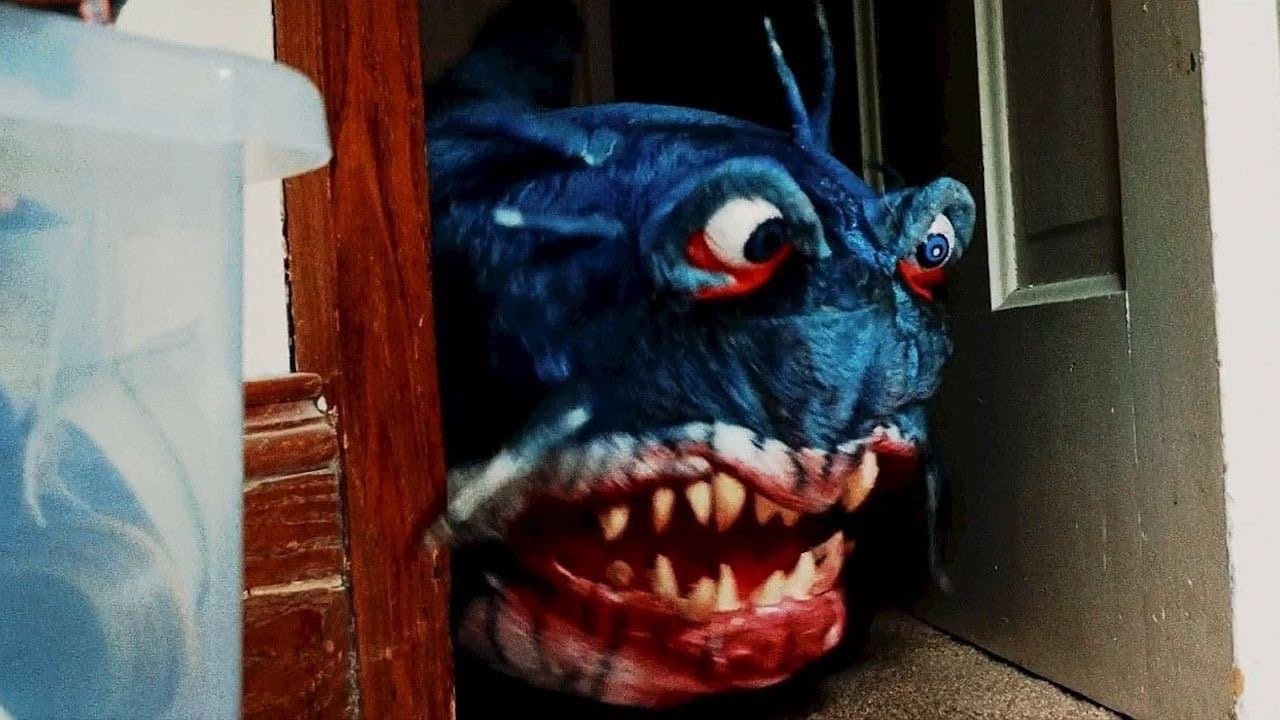 Doll Sharkの背景画像