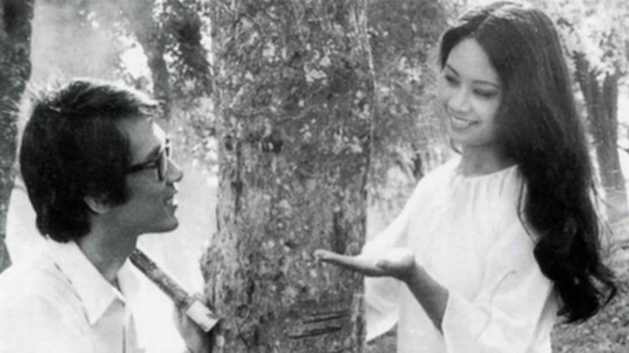 Thị xã trong tầm tayの背景画像