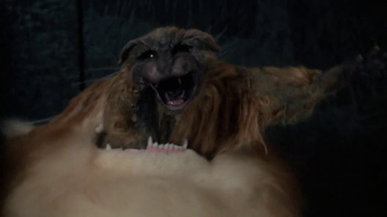 Uninvitedの背景画像