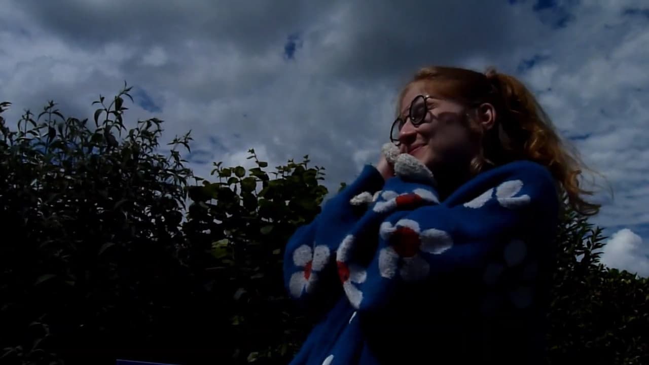 memento kikiの背景画像