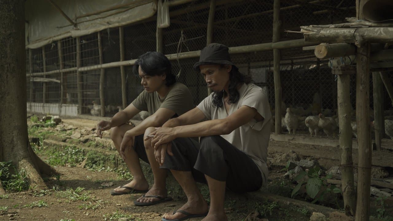 Ayam Mayaの背景画像