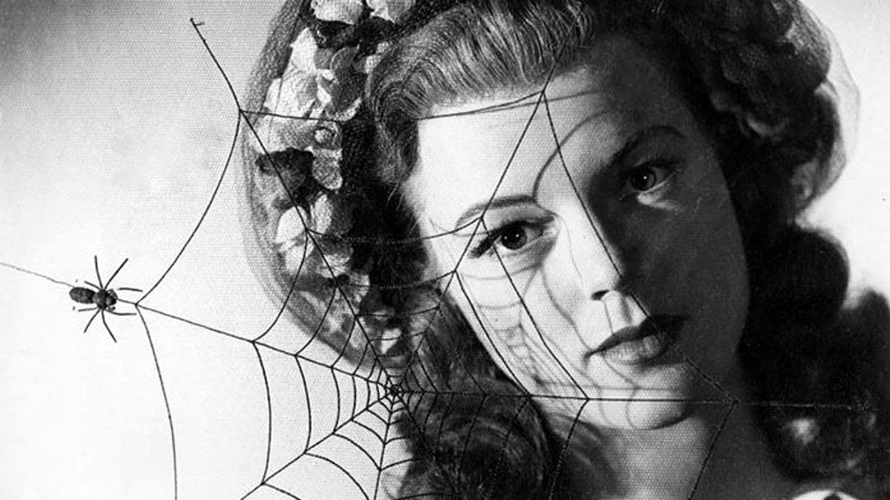 The Spiderの背景画像