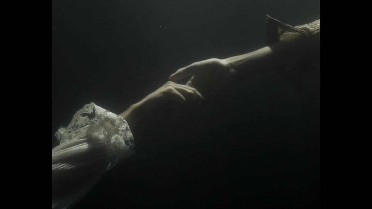 La canción del pantanoの背景画像