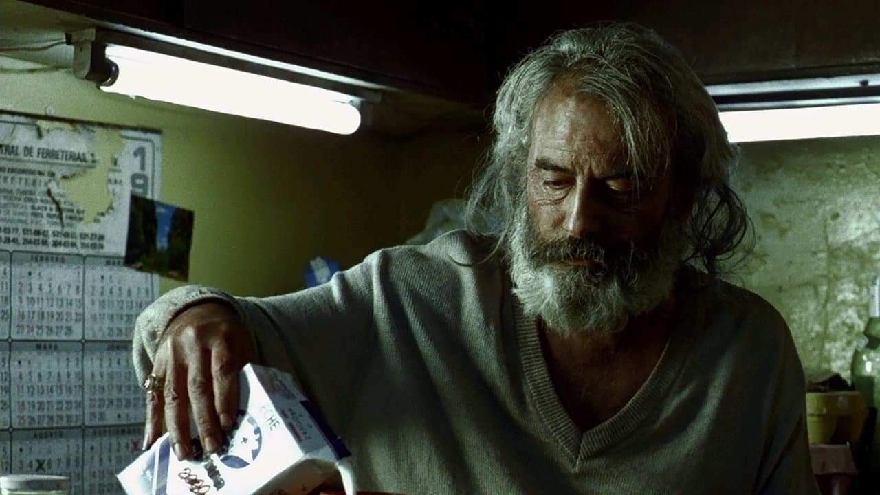 アモーレス・ペロスの背景画像