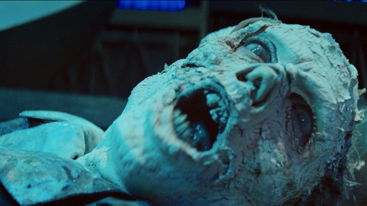 Wakenerの背景画像