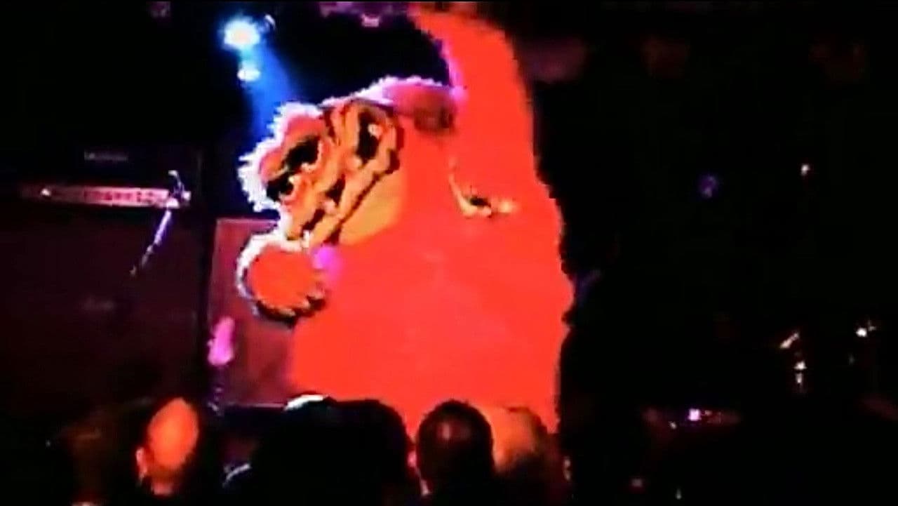 Dinosaur Jr: Live in the Middle Eastの背景画像