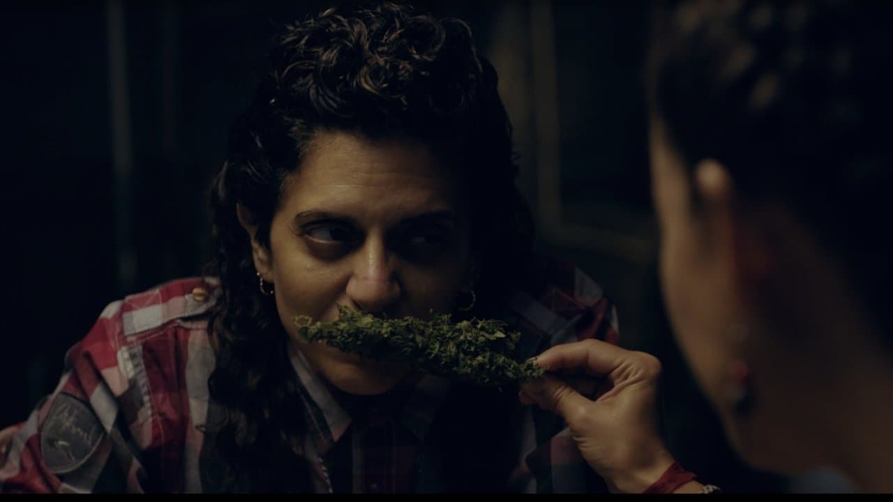 Picando alanteの背景画像