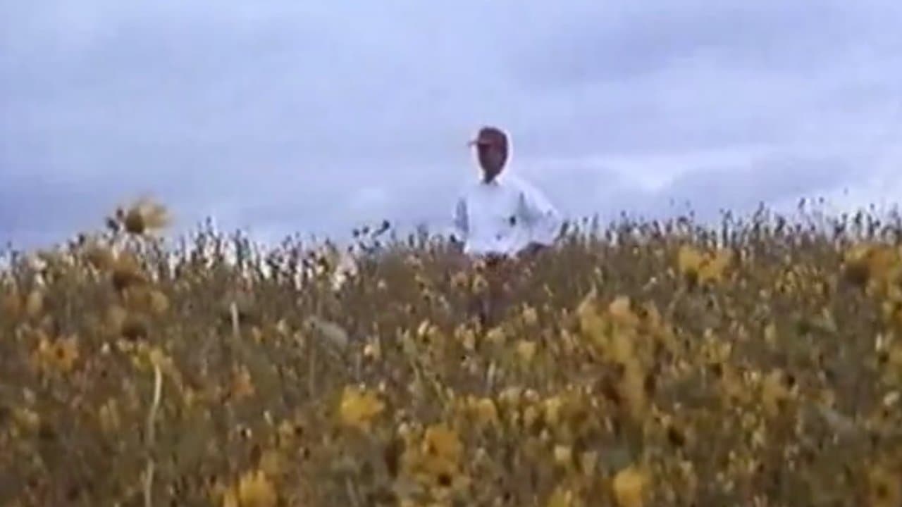 In Search of Ozの背景画像