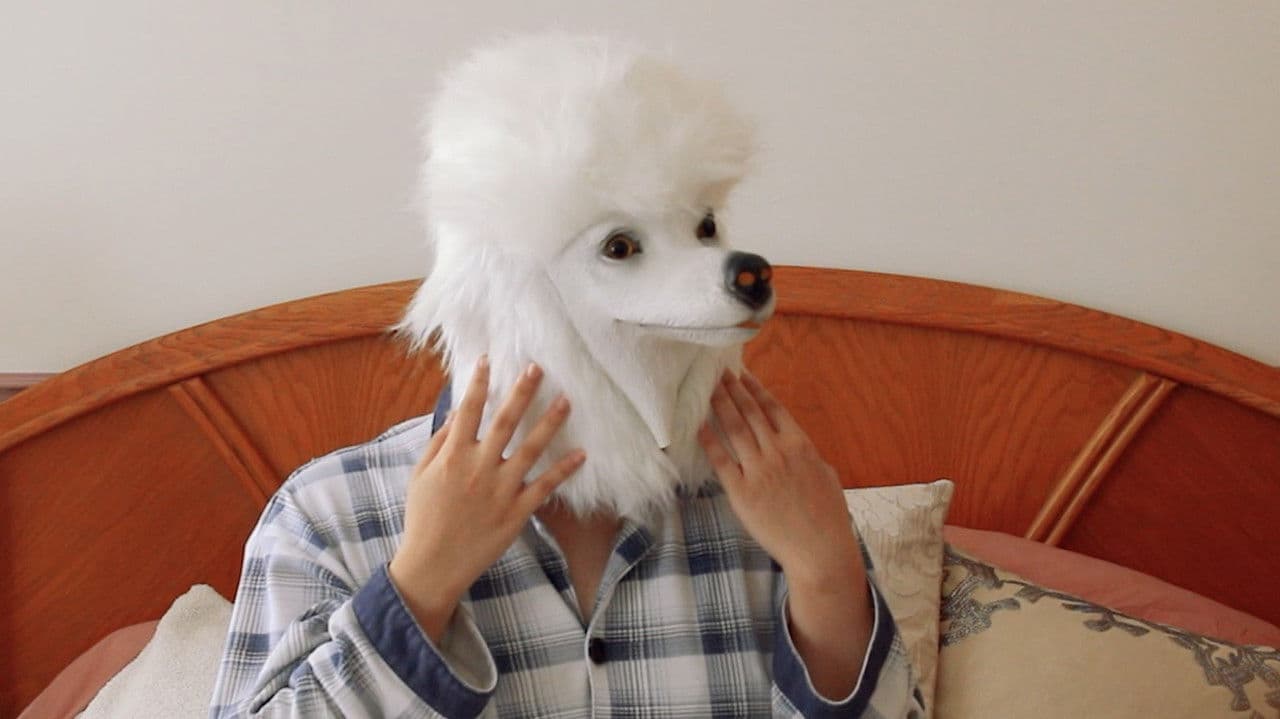 I Wish I Was A Dogの背景画像