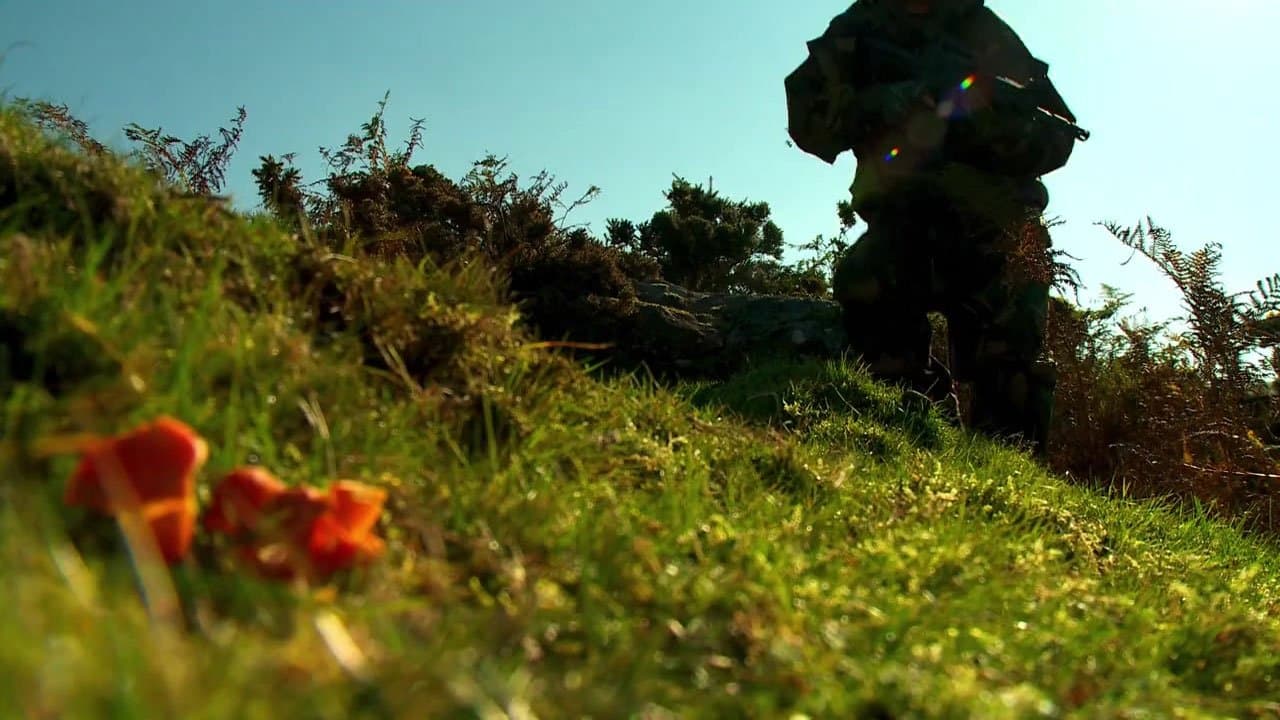 Stag Huntの背景画像