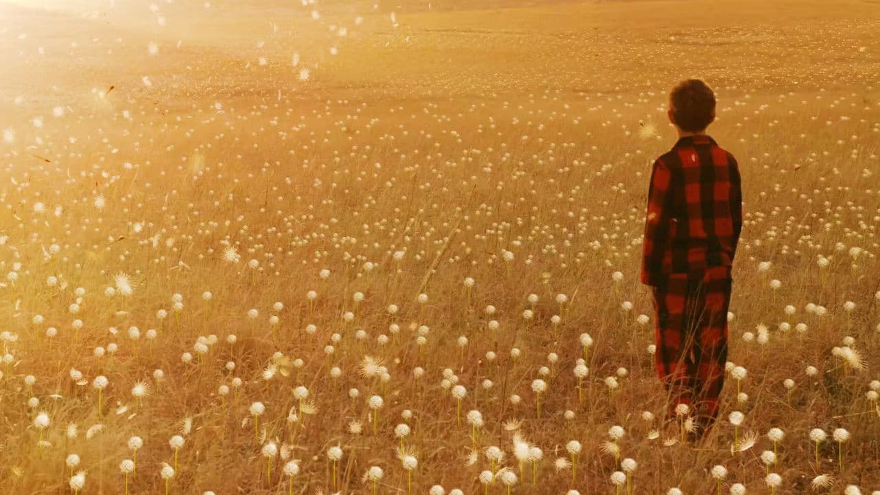 Wisher Maddoxの背景画像