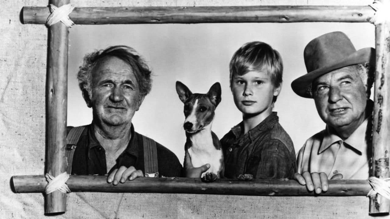 Good-bye, My Ladyの背景画像