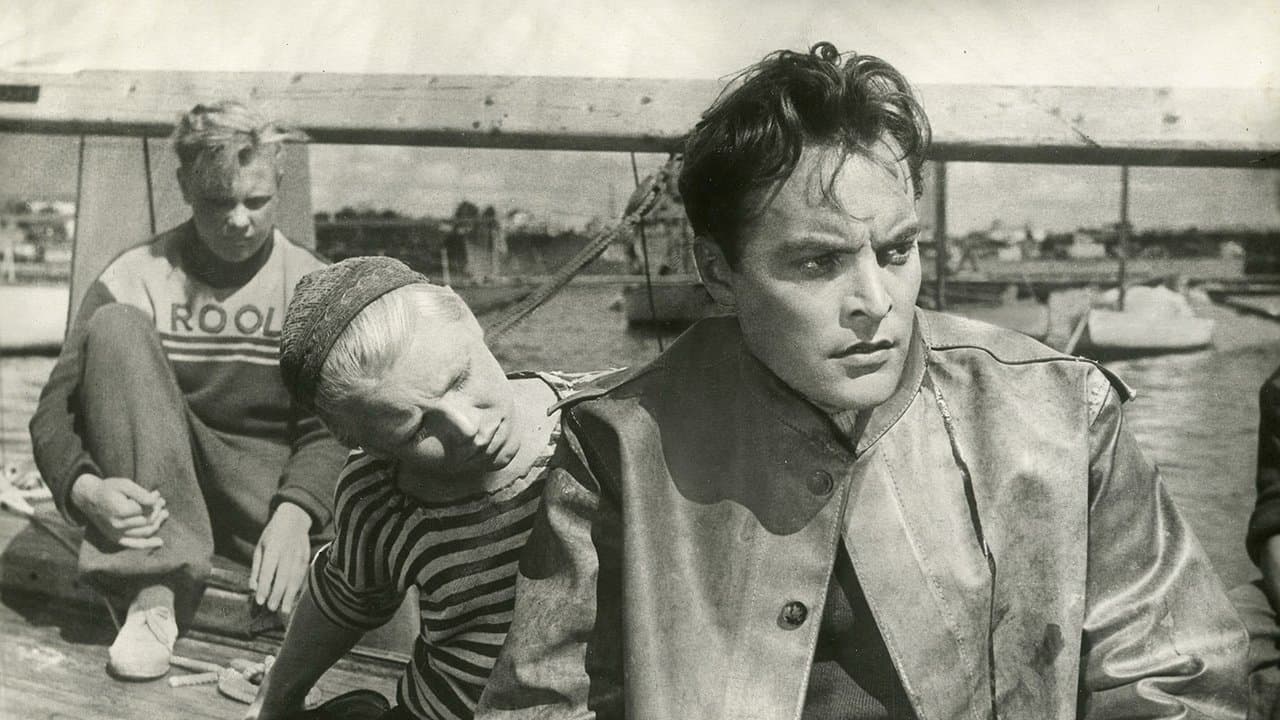 Jahid merelの背景画像