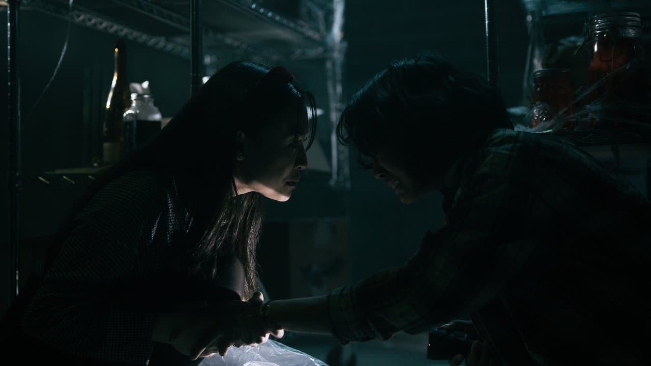 Chiropteraの背景画像