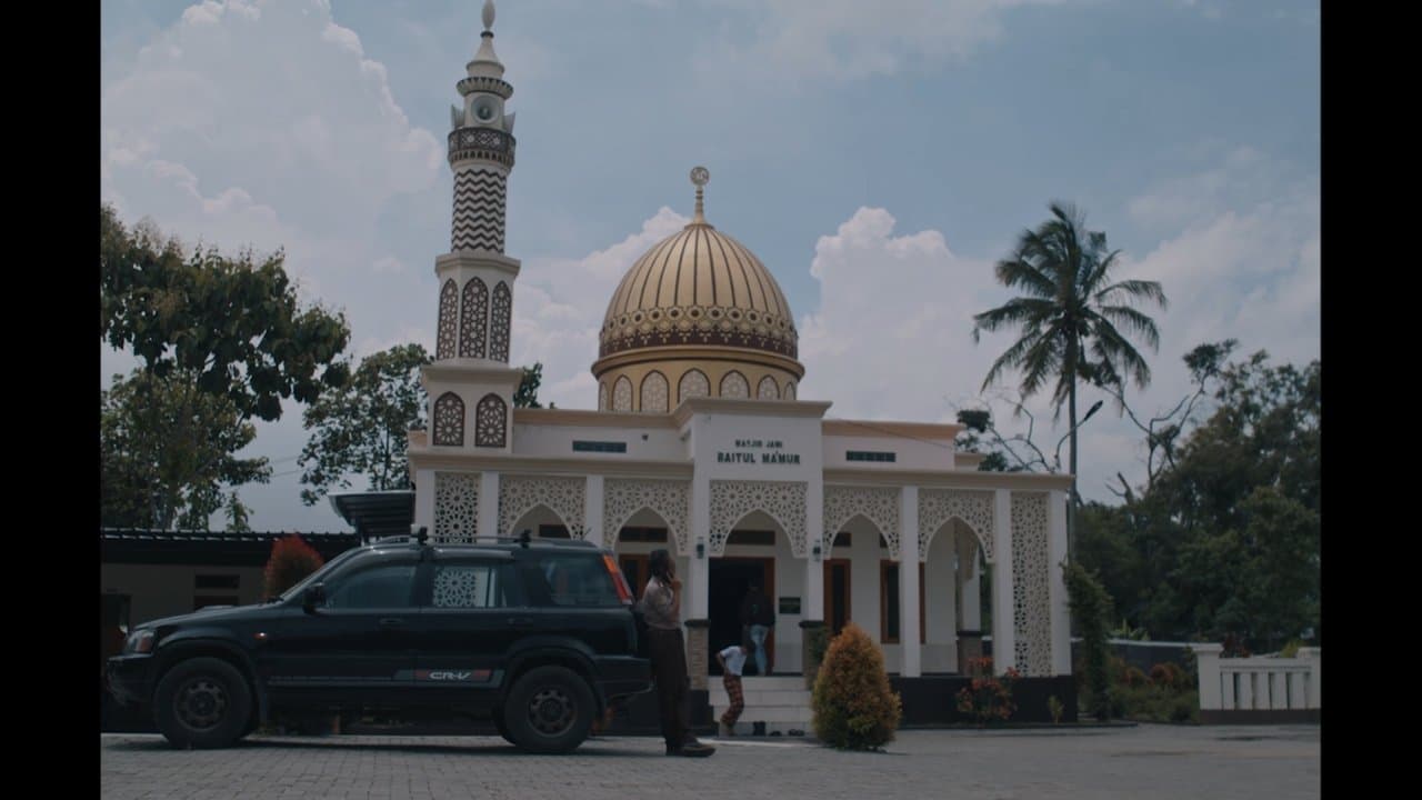 A Cat Can Look at a Kingの背景画像