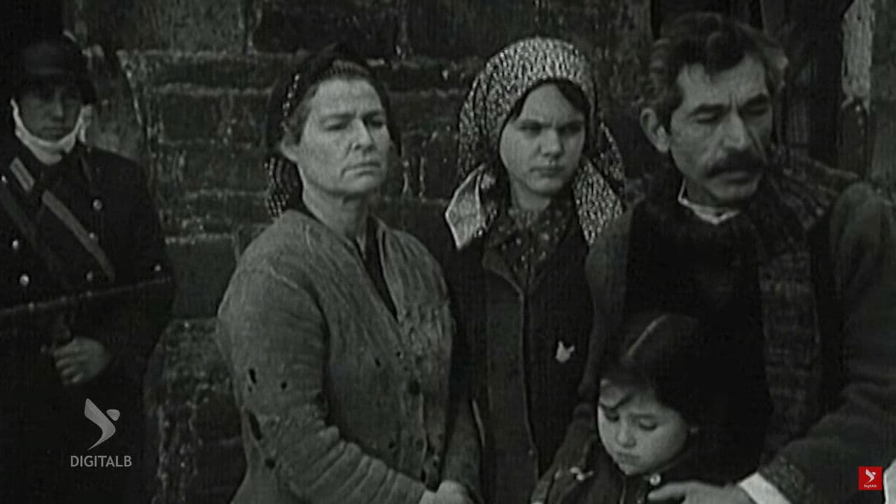 Dollia e dasmës simeの背景画像