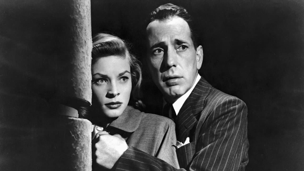 潜行者の背景画像