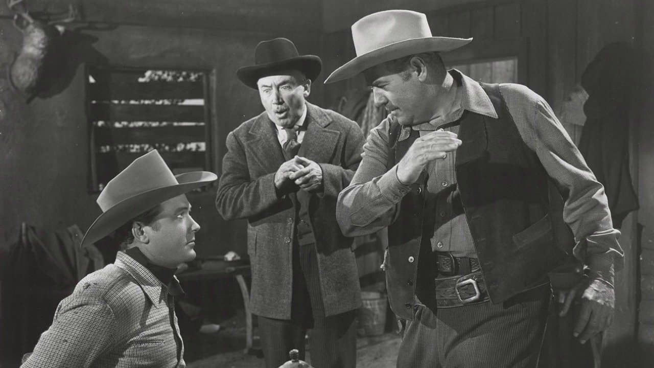 The Timber Trailの背景画像