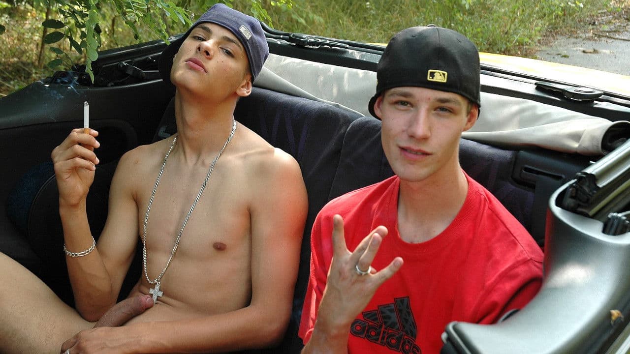 Pedro's Straight Friendsの背景画像