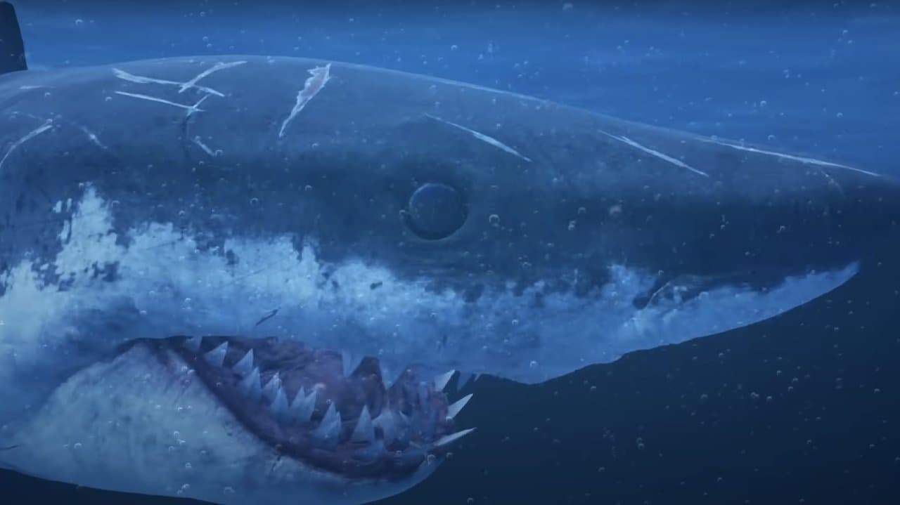 Mummy Sharkの背景画像