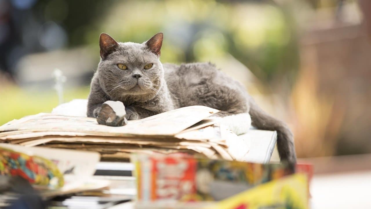 Murder of a Catの背景画像