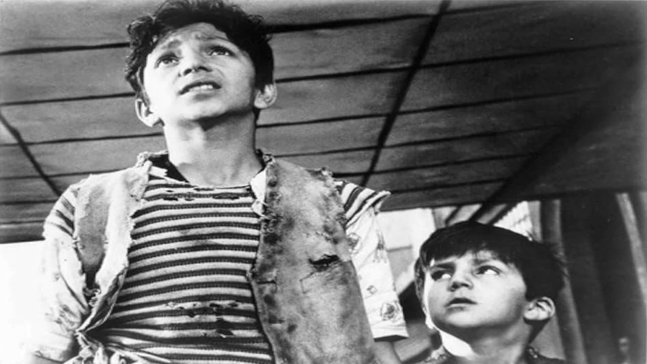 El Camino de la Vidaの背景画像