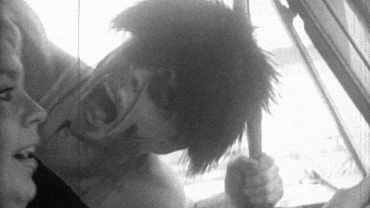 Passion in the Sunの背景画像