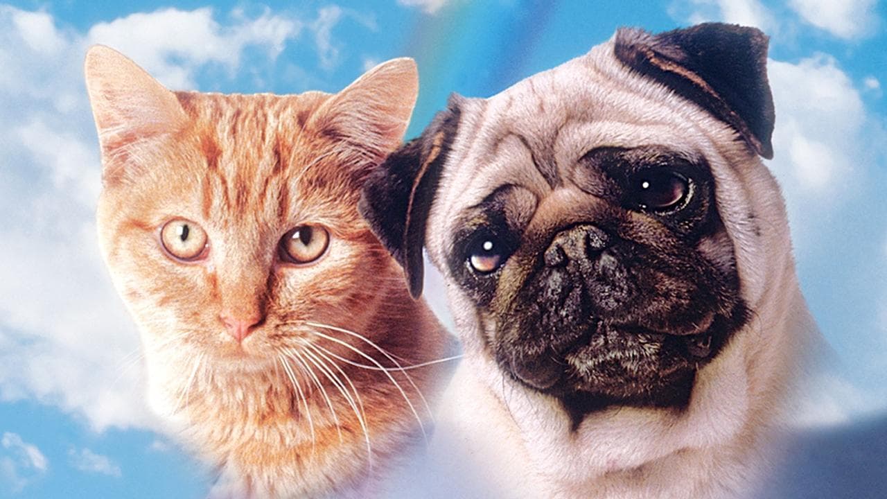 子猫物語の背景画像