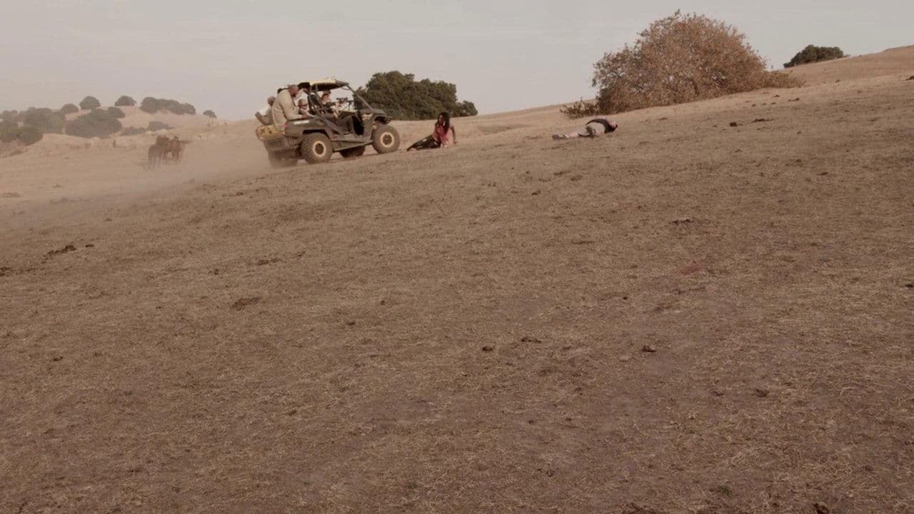 Fair Chaseの背景画像