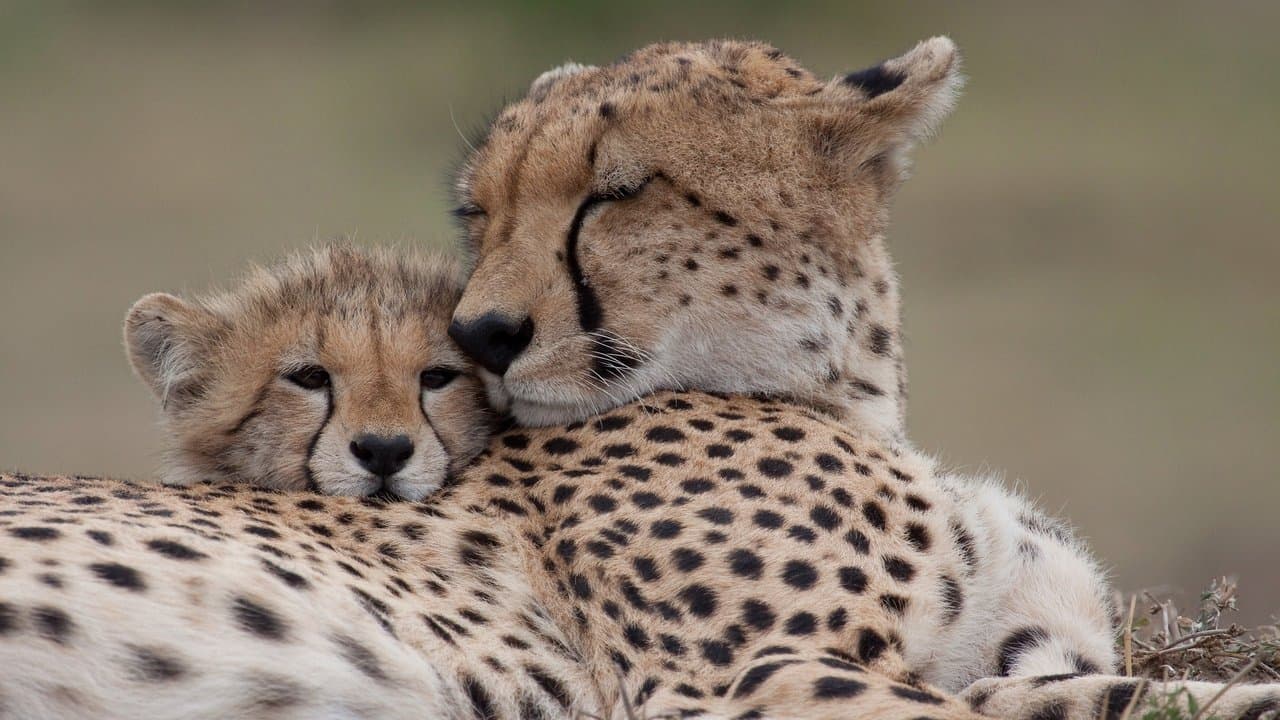 Natureの背景画像