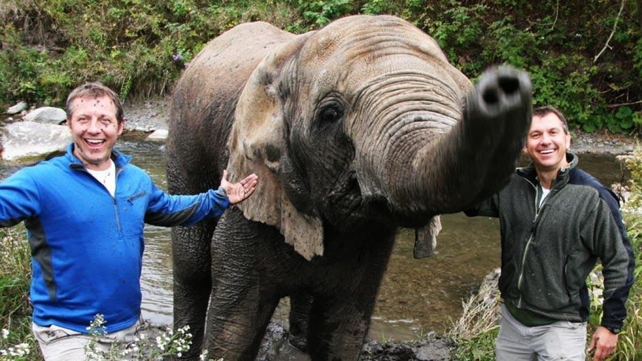 Kratts' Creaturesの背景画像