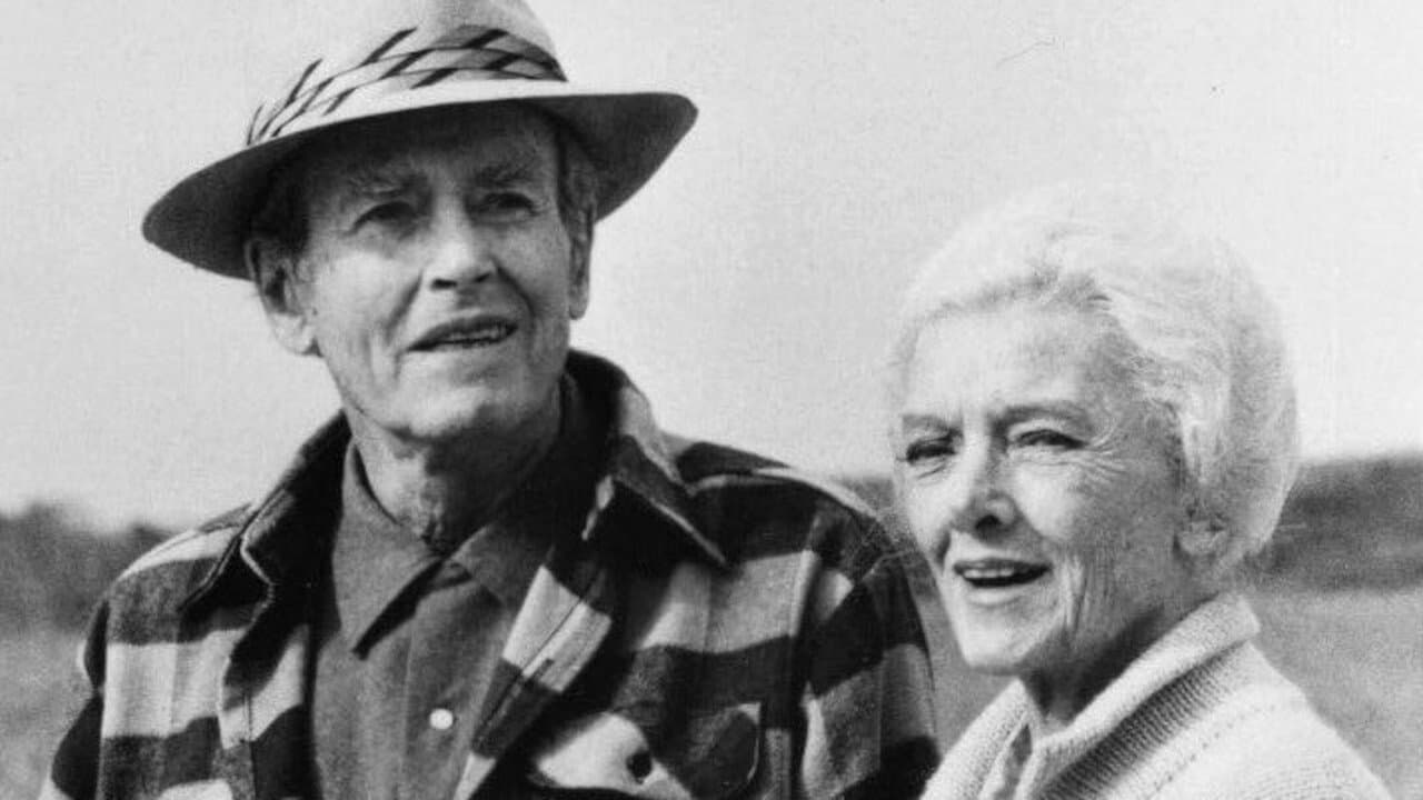 Summer Solsticeの背景画像