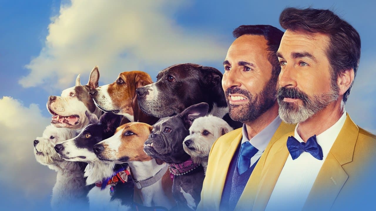 2022 American Rescue Dog Showの背景画像