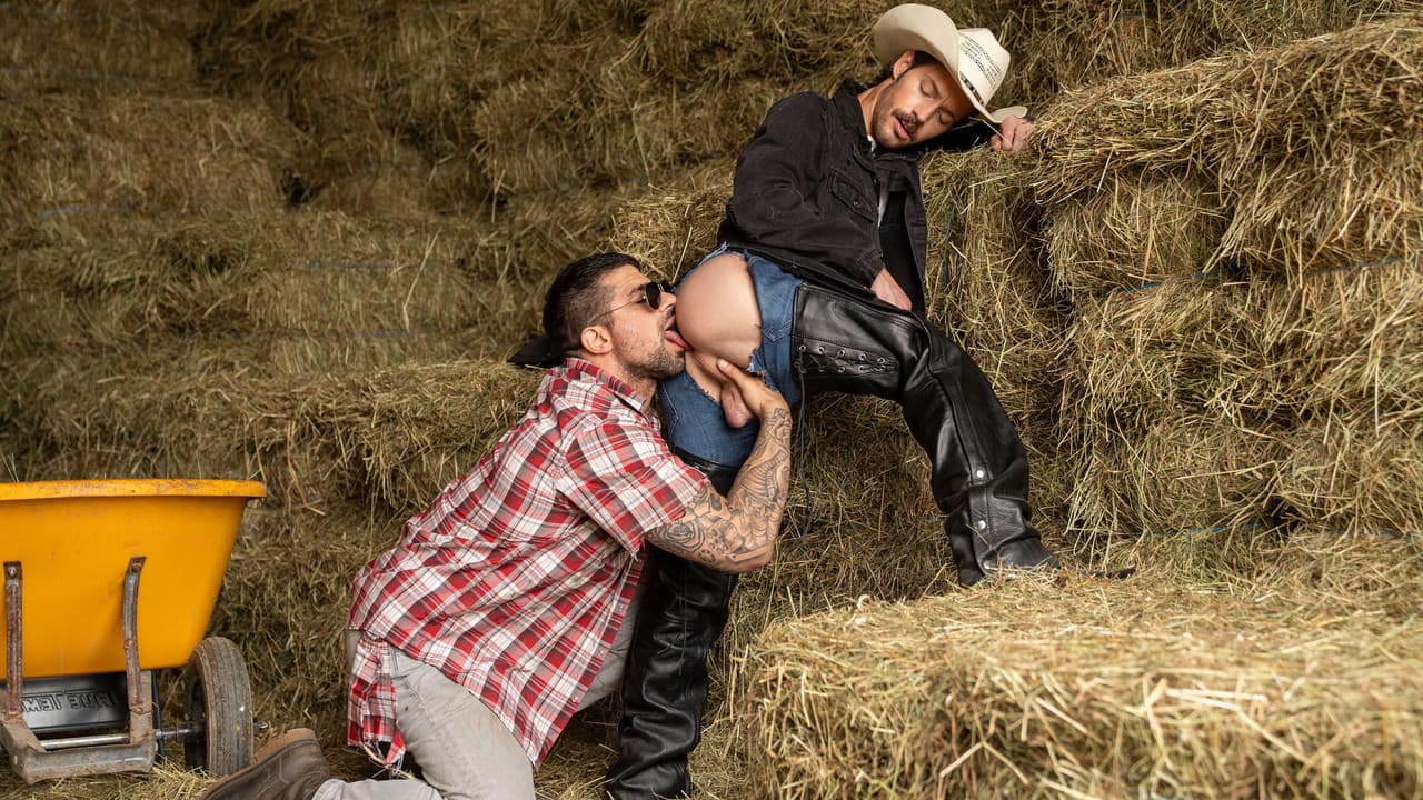 Saddle Uptownの背景画像