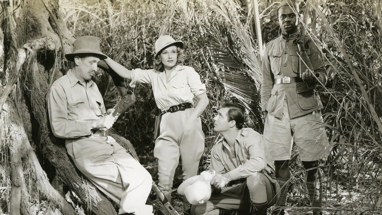 Zanzibarの背景画像